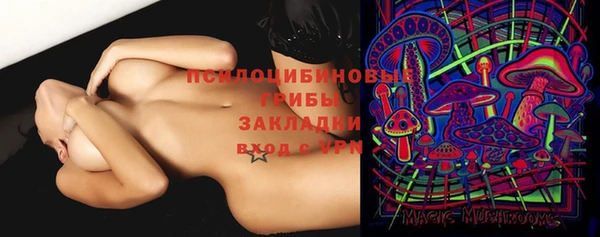 гашик Тутаев